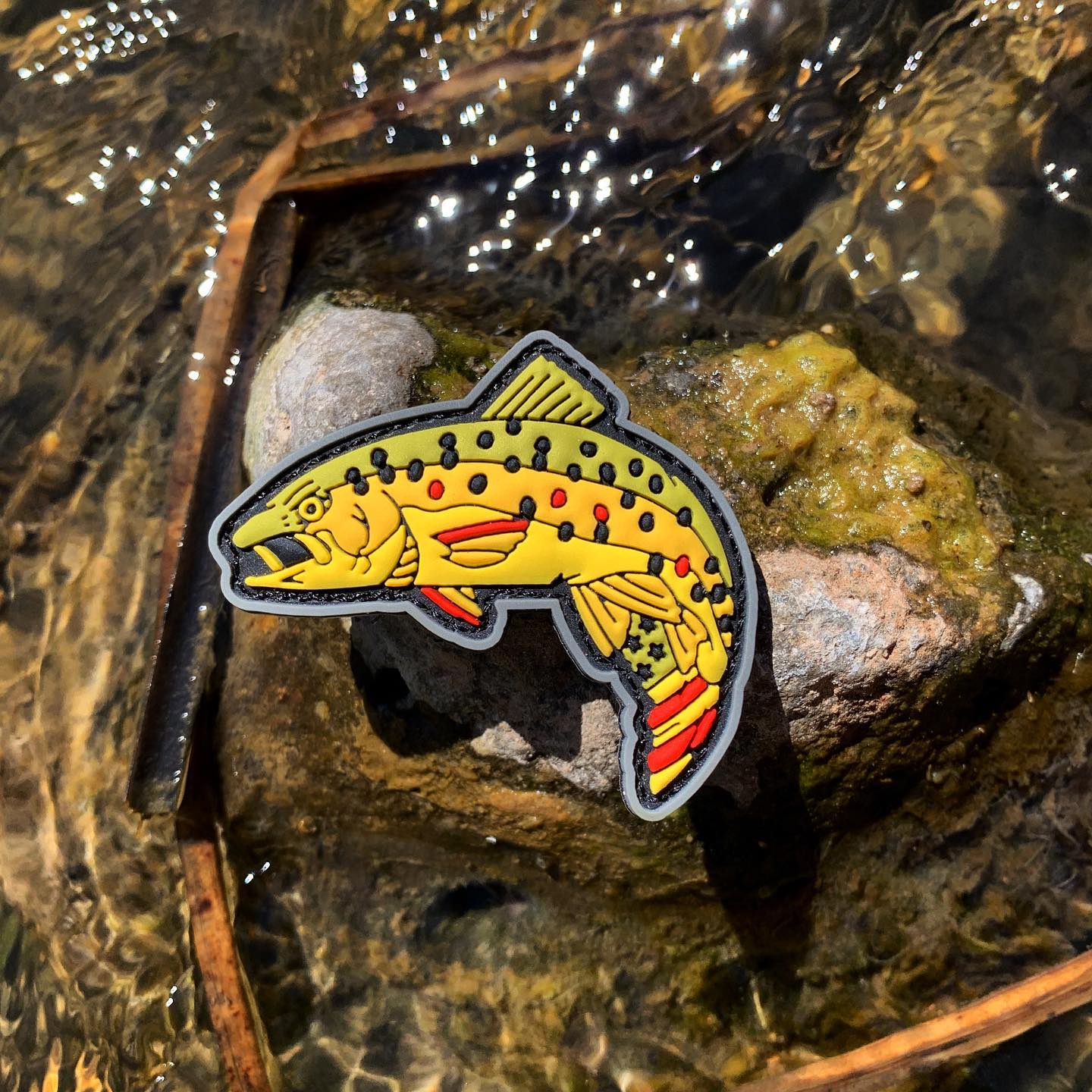 Brown Trout RE