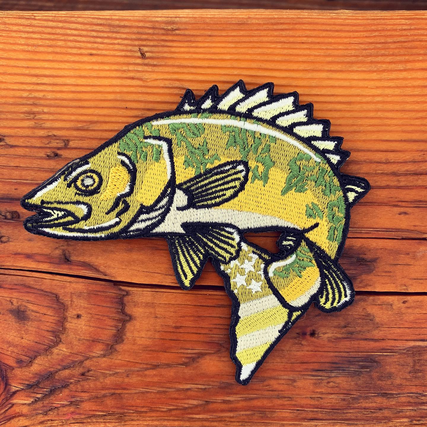 Walleye