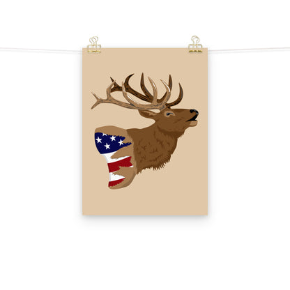 Elk